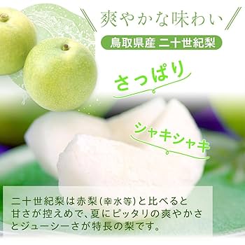 鳥取県産　ハウス20世紀梨　12玉入り　2箱 楽天市場】鳥取産 ハウス 二十世紀梨 約5kg 大玉 14個〜16個